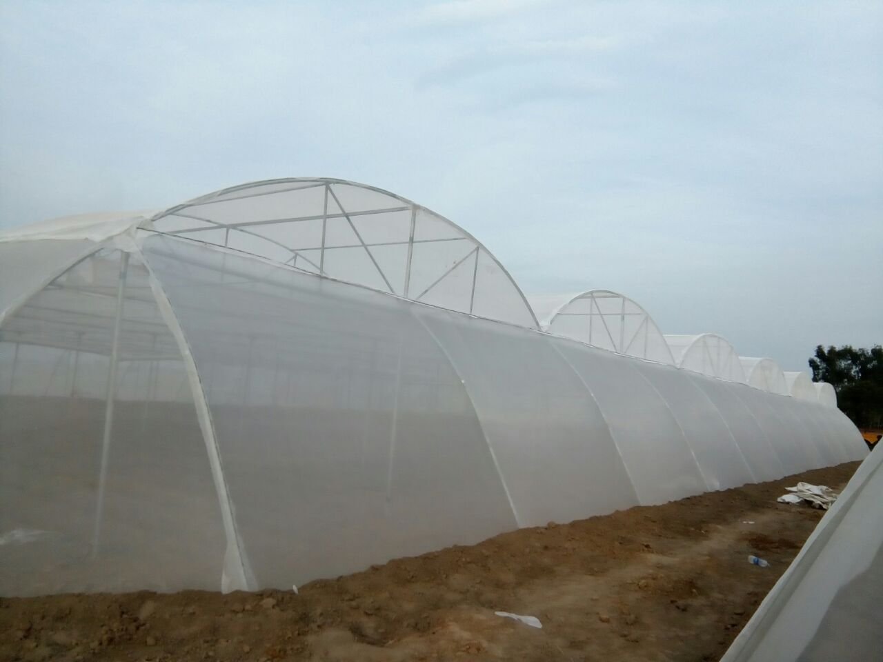 Precision Microclimate