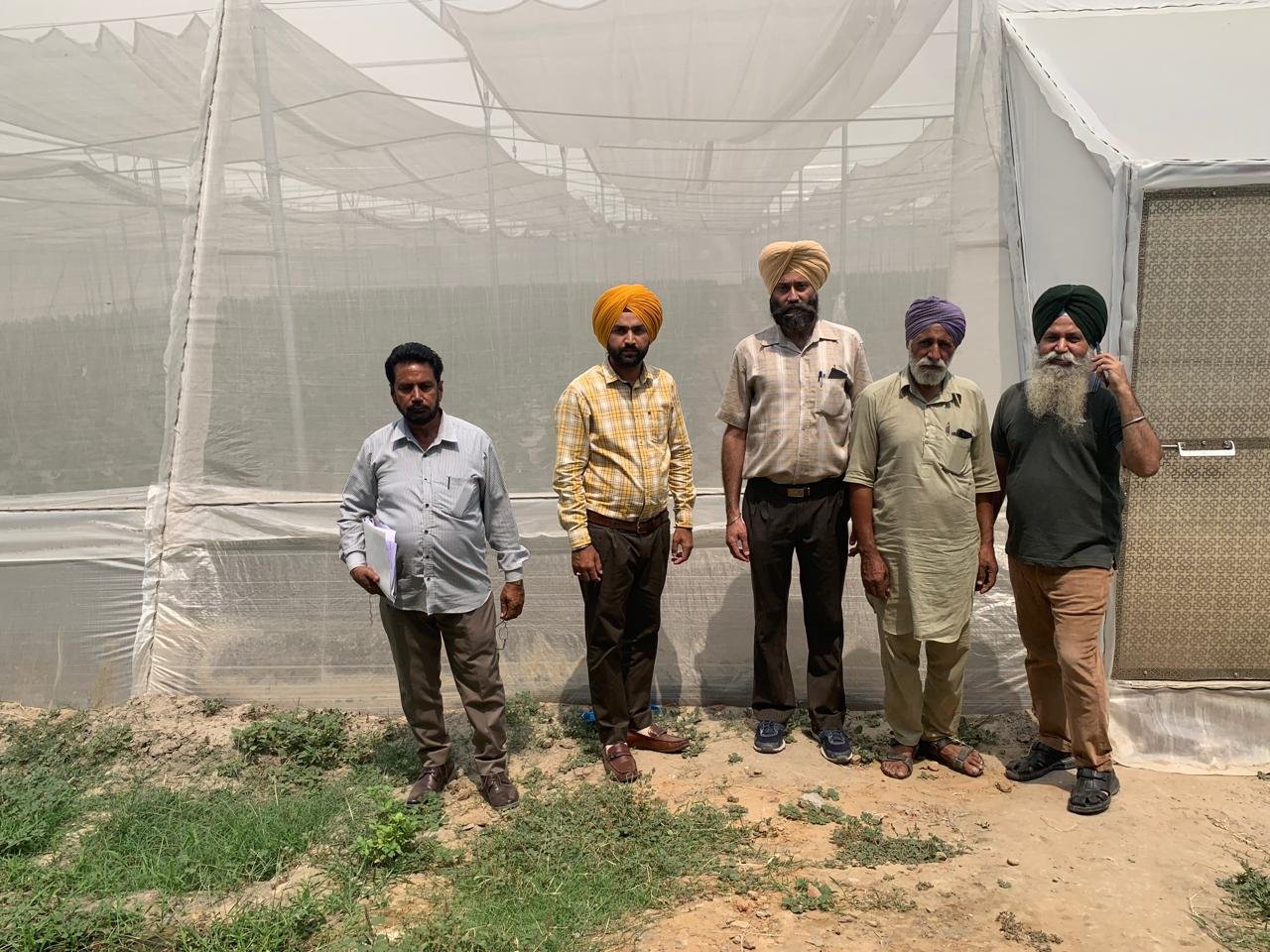 Greenhouse Field Execution Project #7