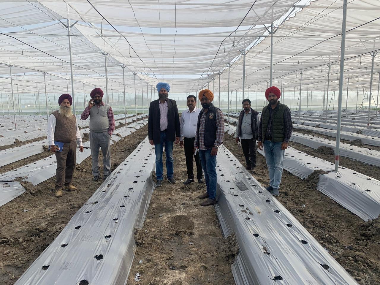 Farming Field Execution Project #10