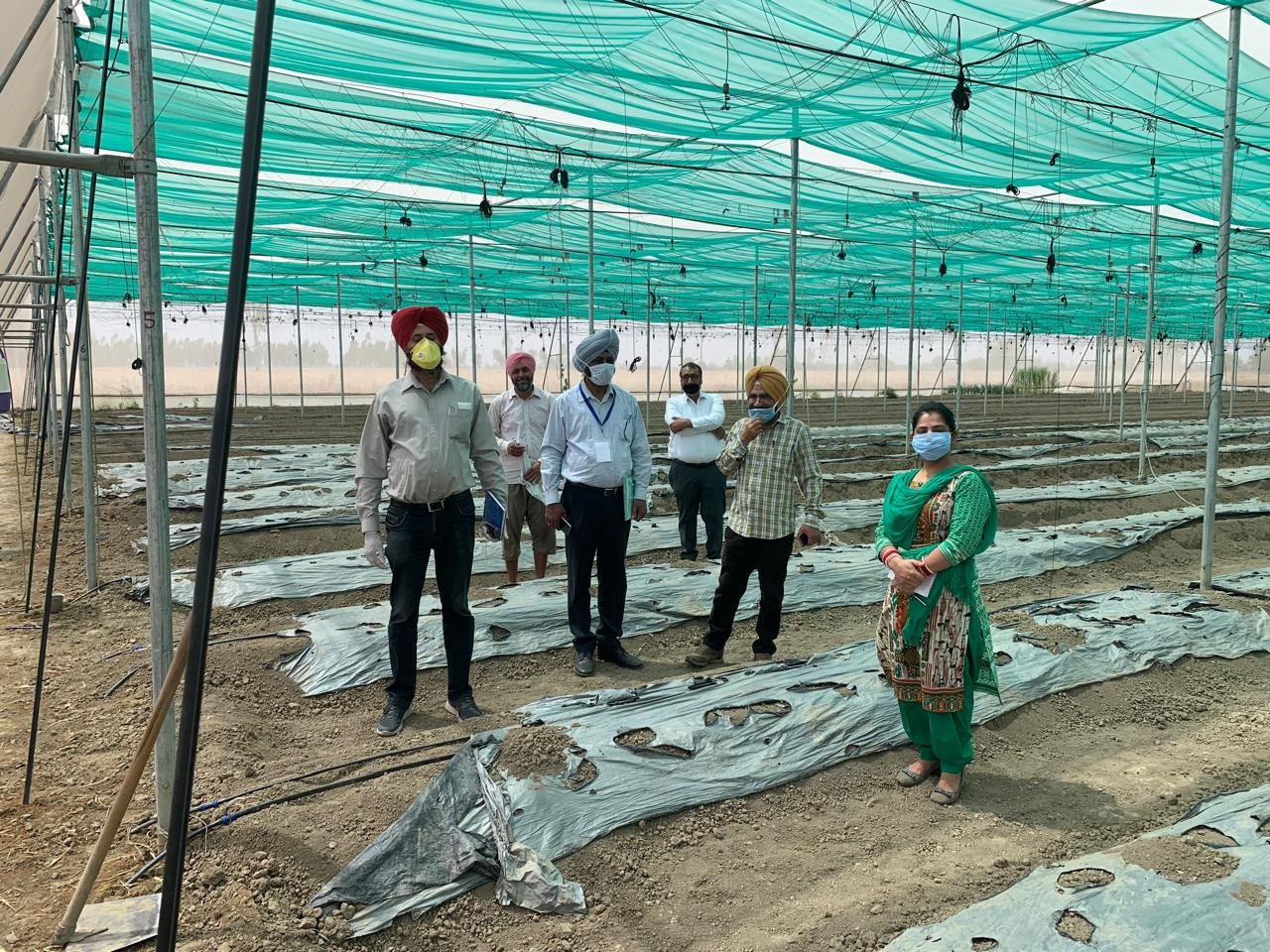 Greenhouse Field Execution Project #12