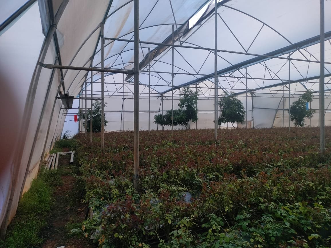 Farming Field Execution Project #15
