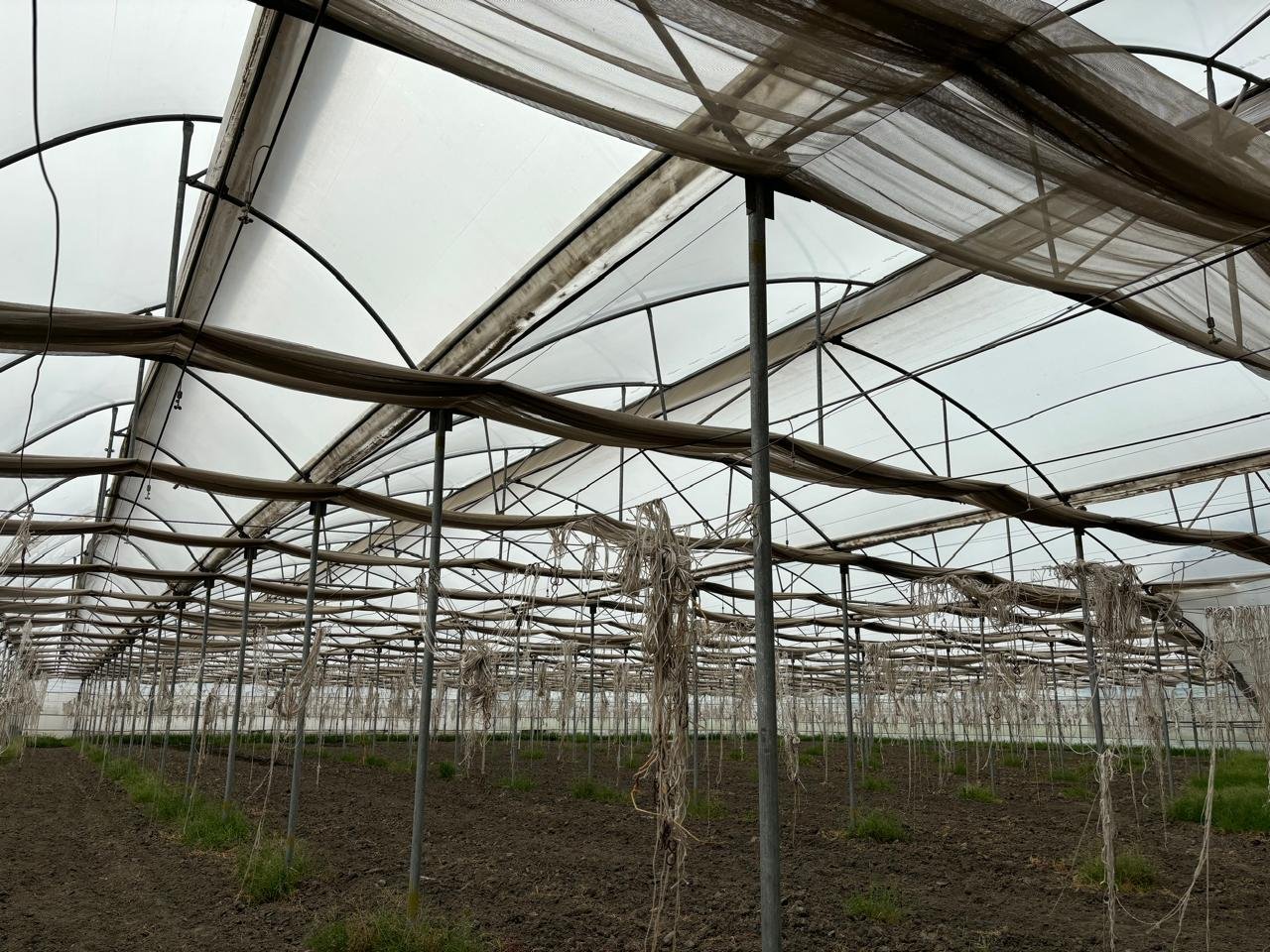Shade Net House Field Execution Project #28