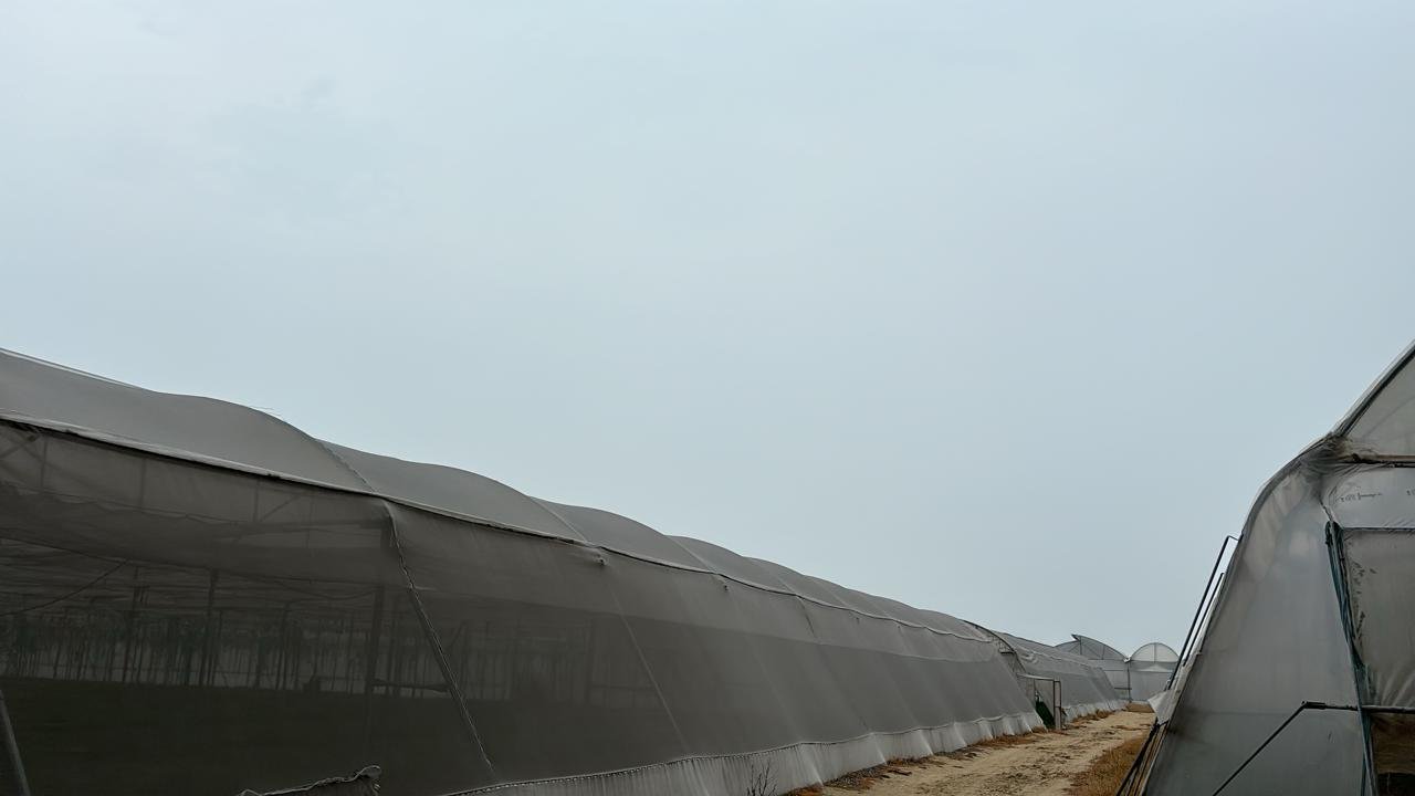 Farming Field Execution Project #30