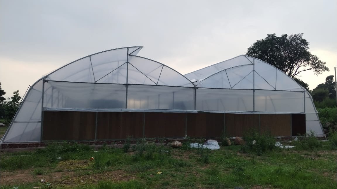 Climate-Controlled Fan & Pad Greenhouse 35