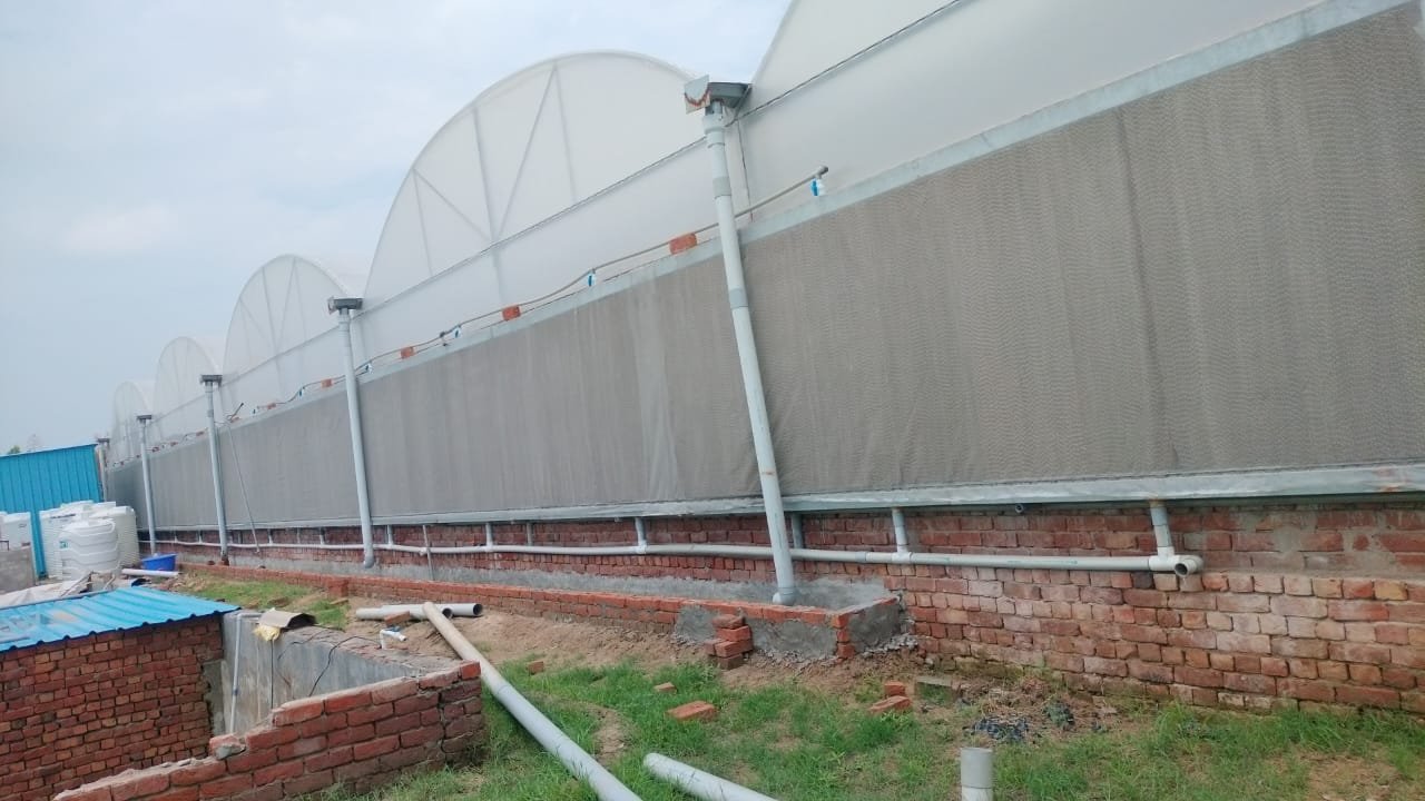 Commercial Hydroponic Setup 37
