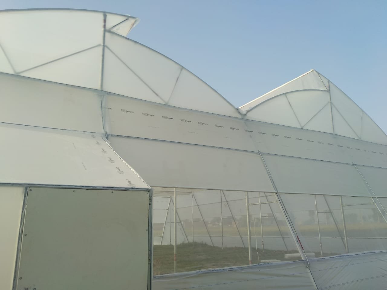Polyhouses Field Execution Project #51