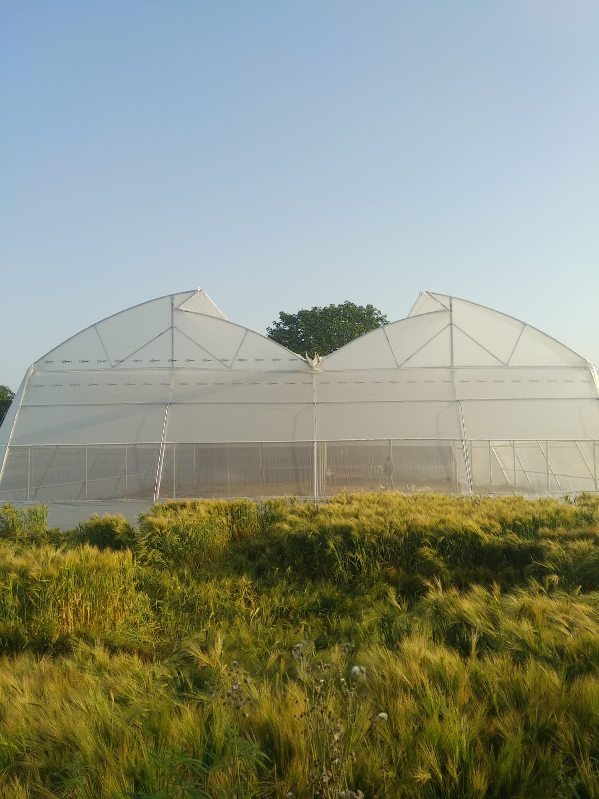Shade Net House Field Execution Project #53