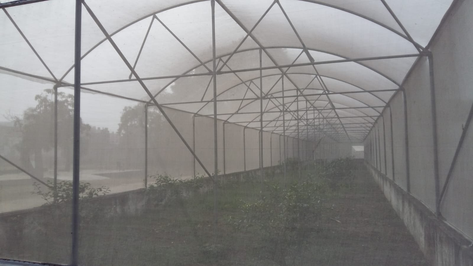 Multi-Dome Shade Net Structure 67