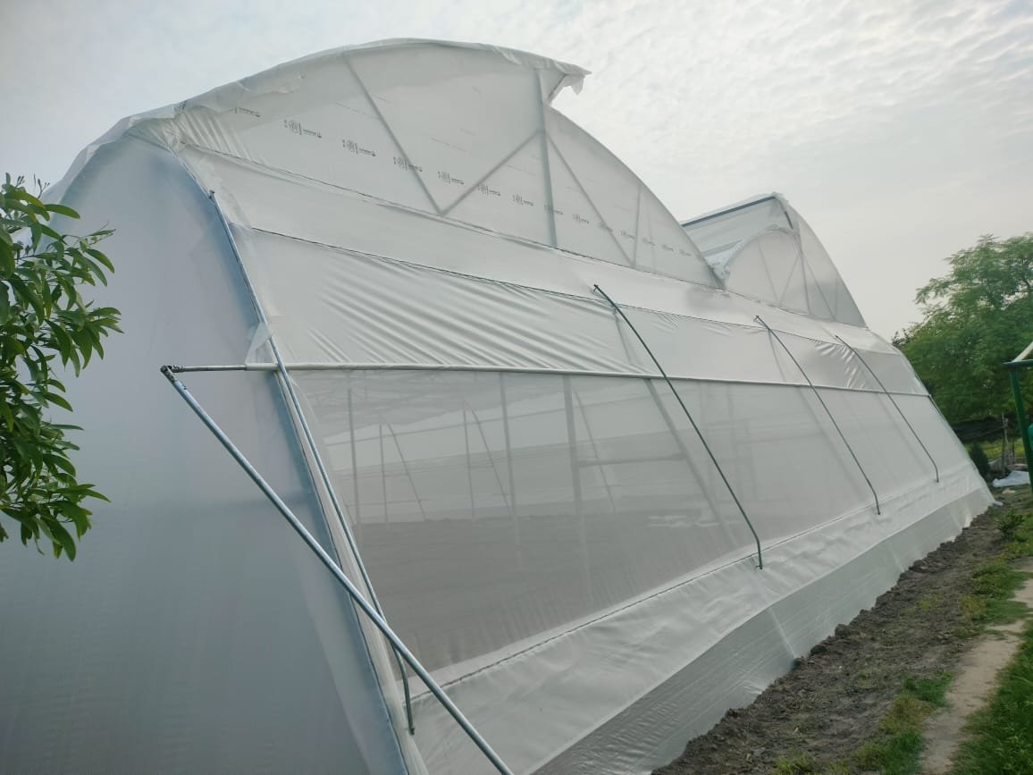 Naturally Ventilated Commercial Polyhouse 40