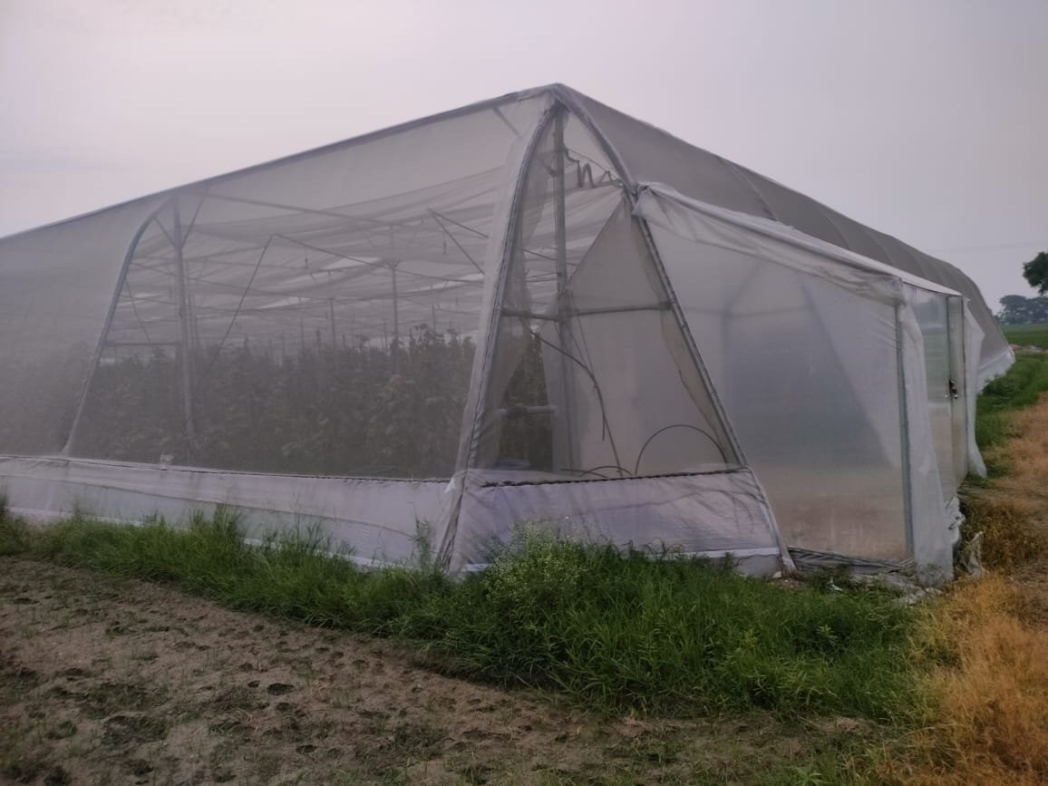 High-Roof Arched Tunnel Polyhouse 42